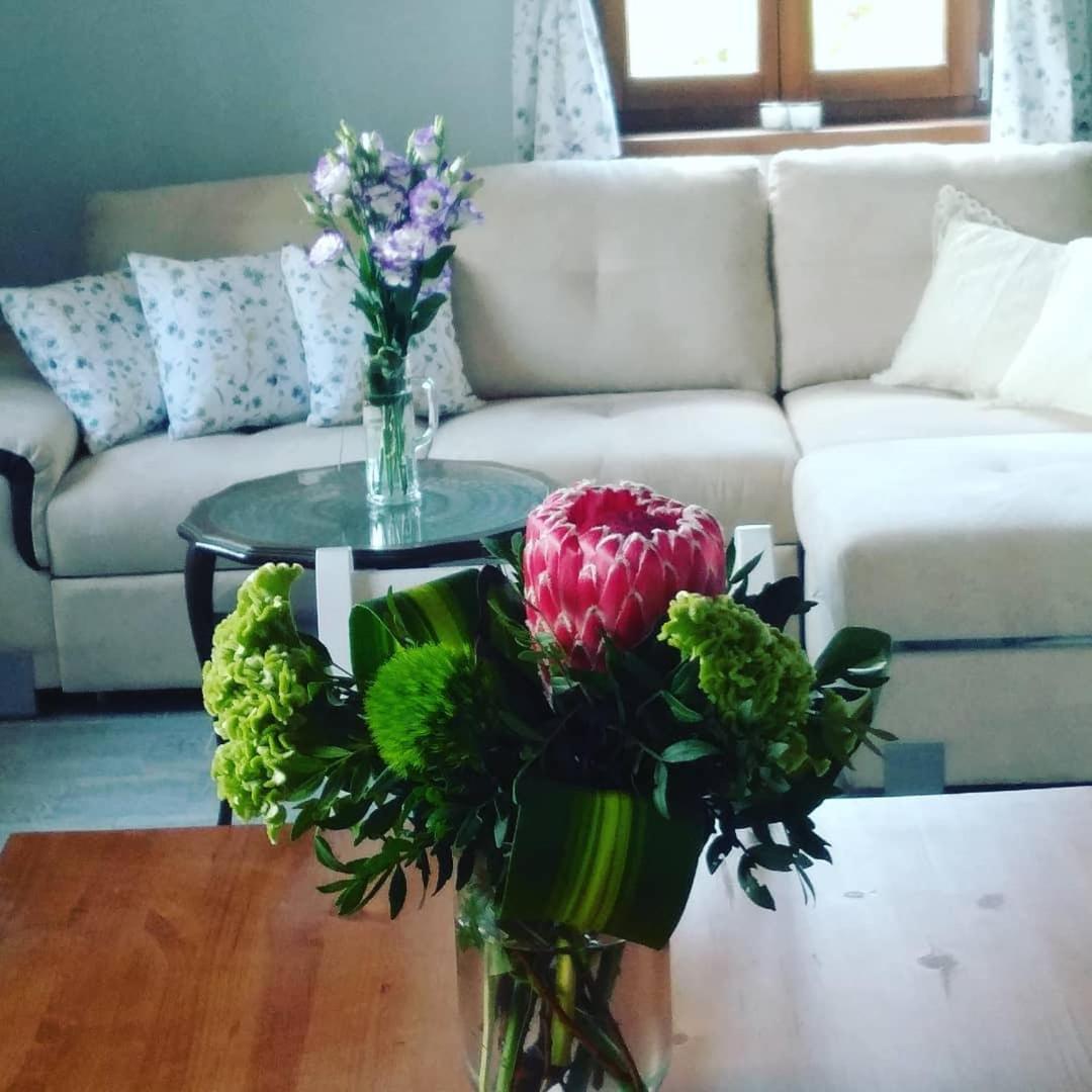 Casa Beata Villa Lesencetomaj Eksteriør bilde