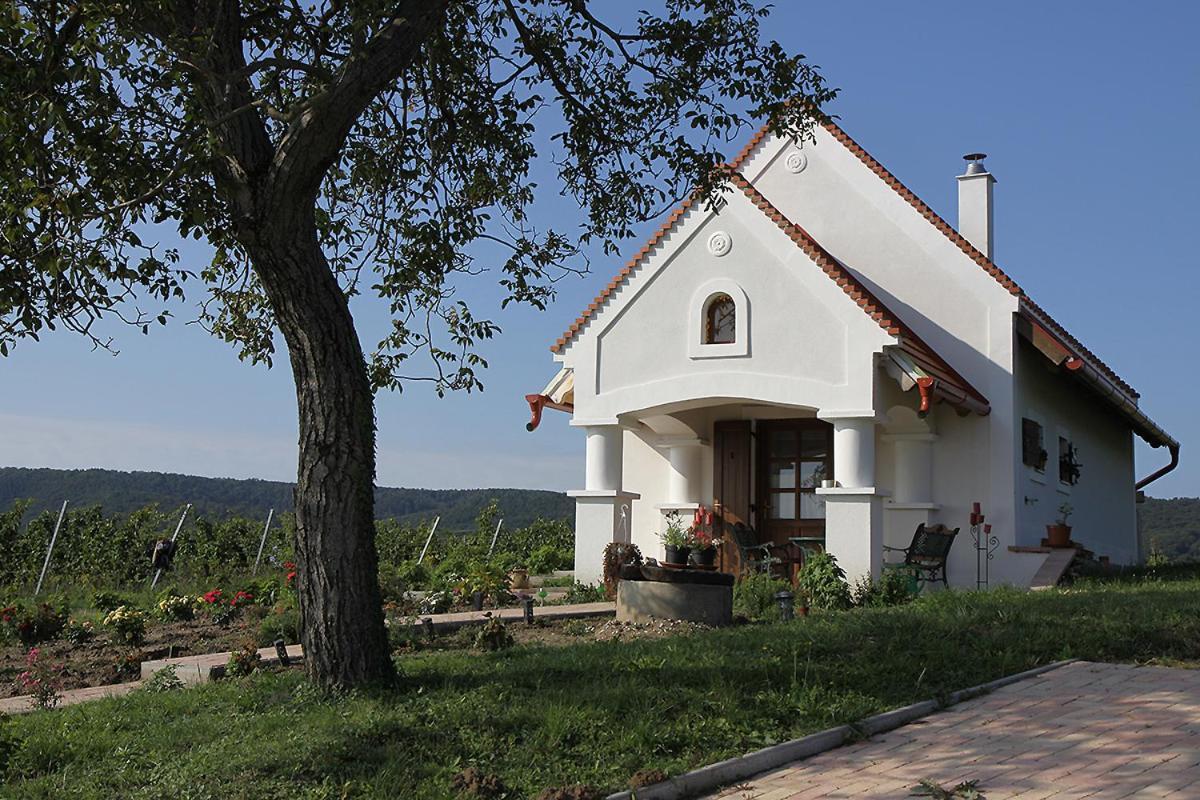 Casa Beata Villa Lesencetomaj Eksteriør bilde